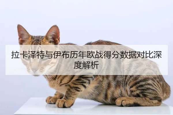 拉卡泽特与伊布历年欧战得分数据对比深度解析